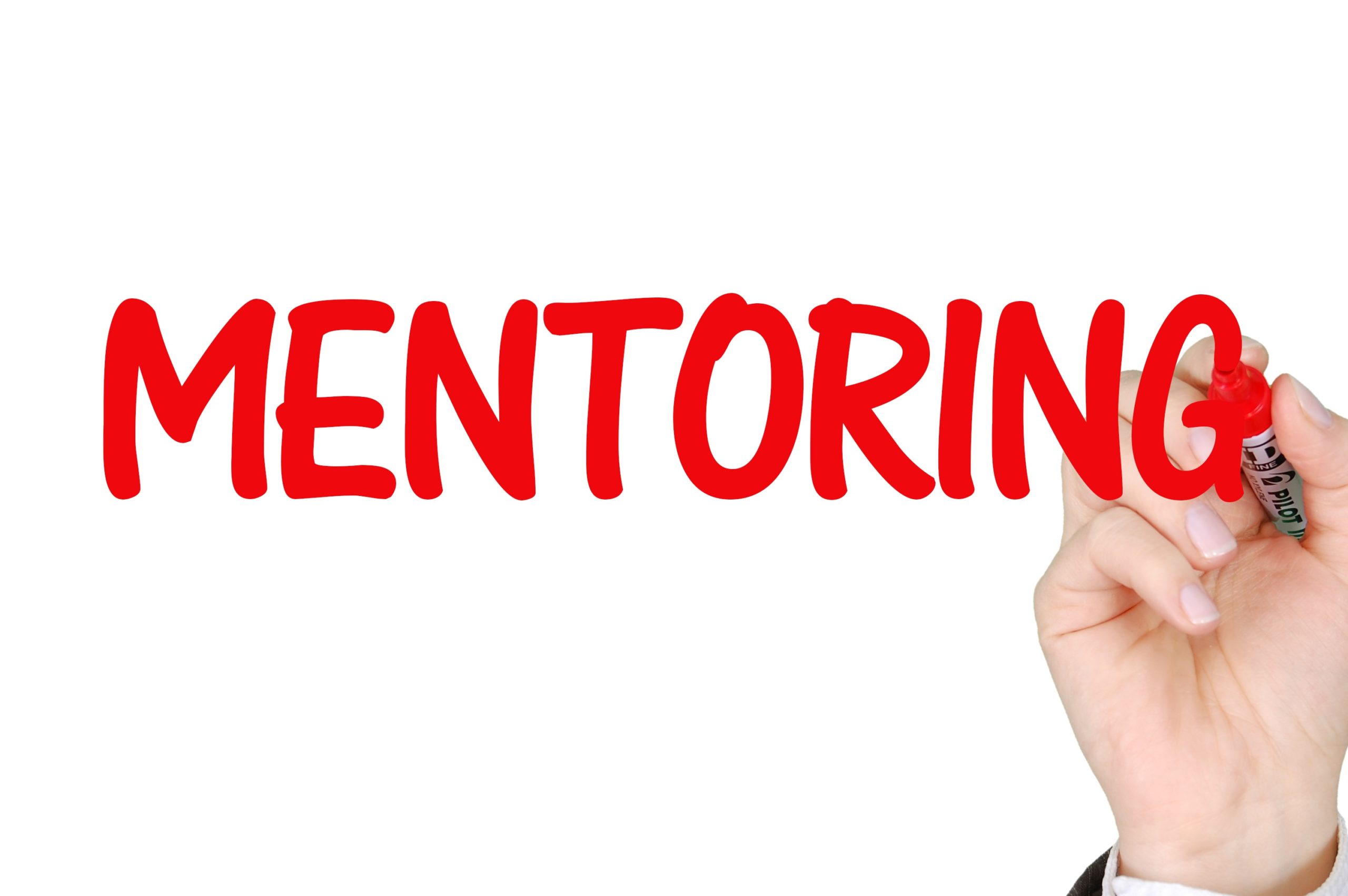 mentoring ralog
